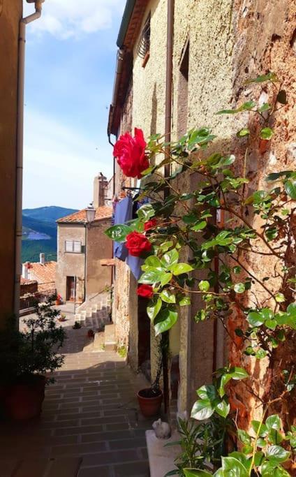 Casa Il Girasole Villa Boccheggiano Exterior foto