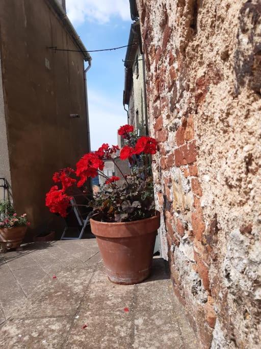 Casa Il Girasole Villa Boccheggiano Exterior foto